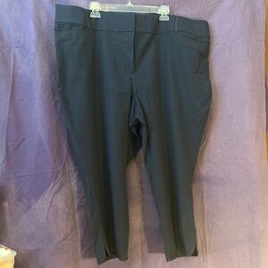 Women’s plus size pants